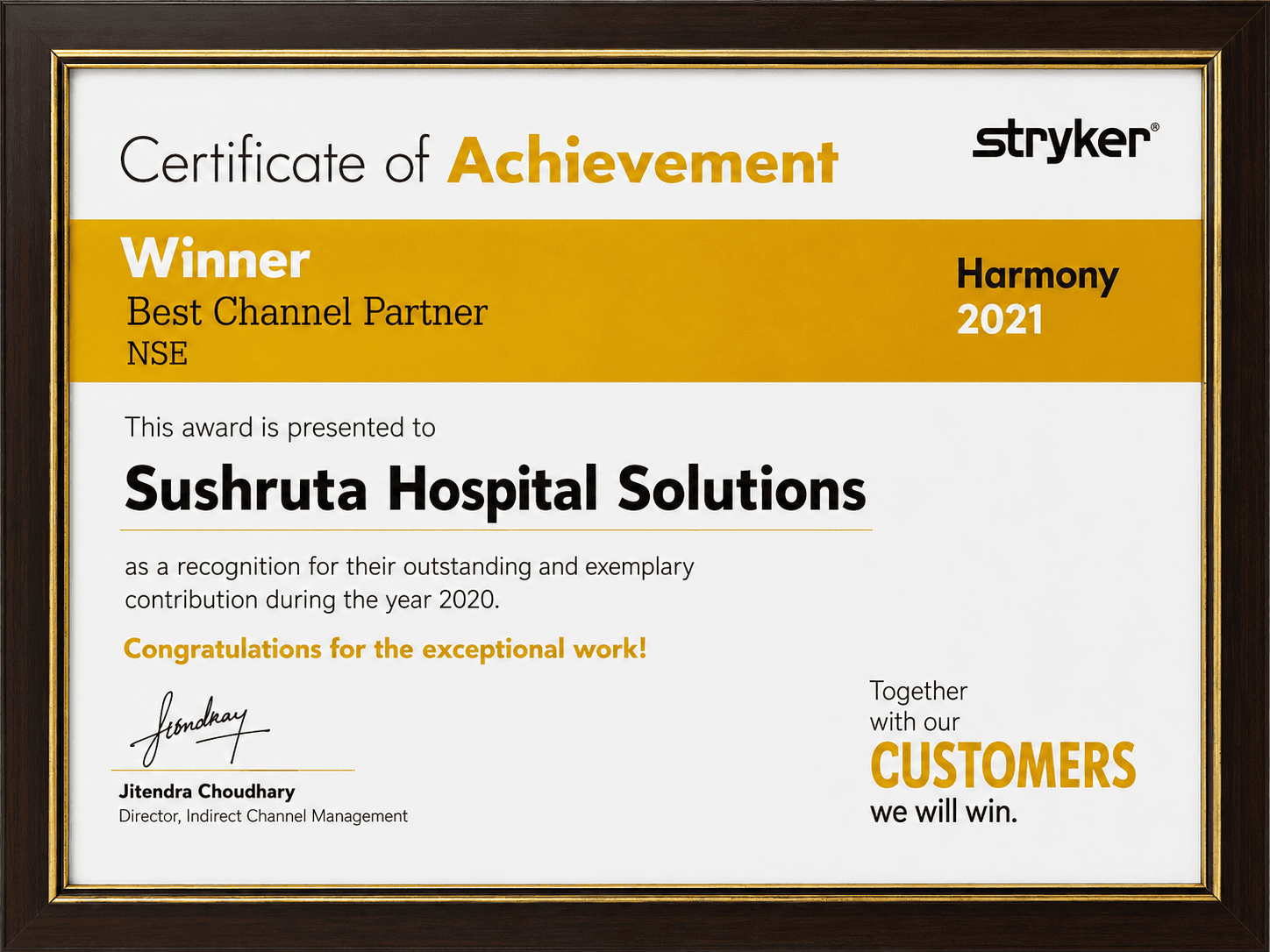 Stryker Best Channel Partner Award