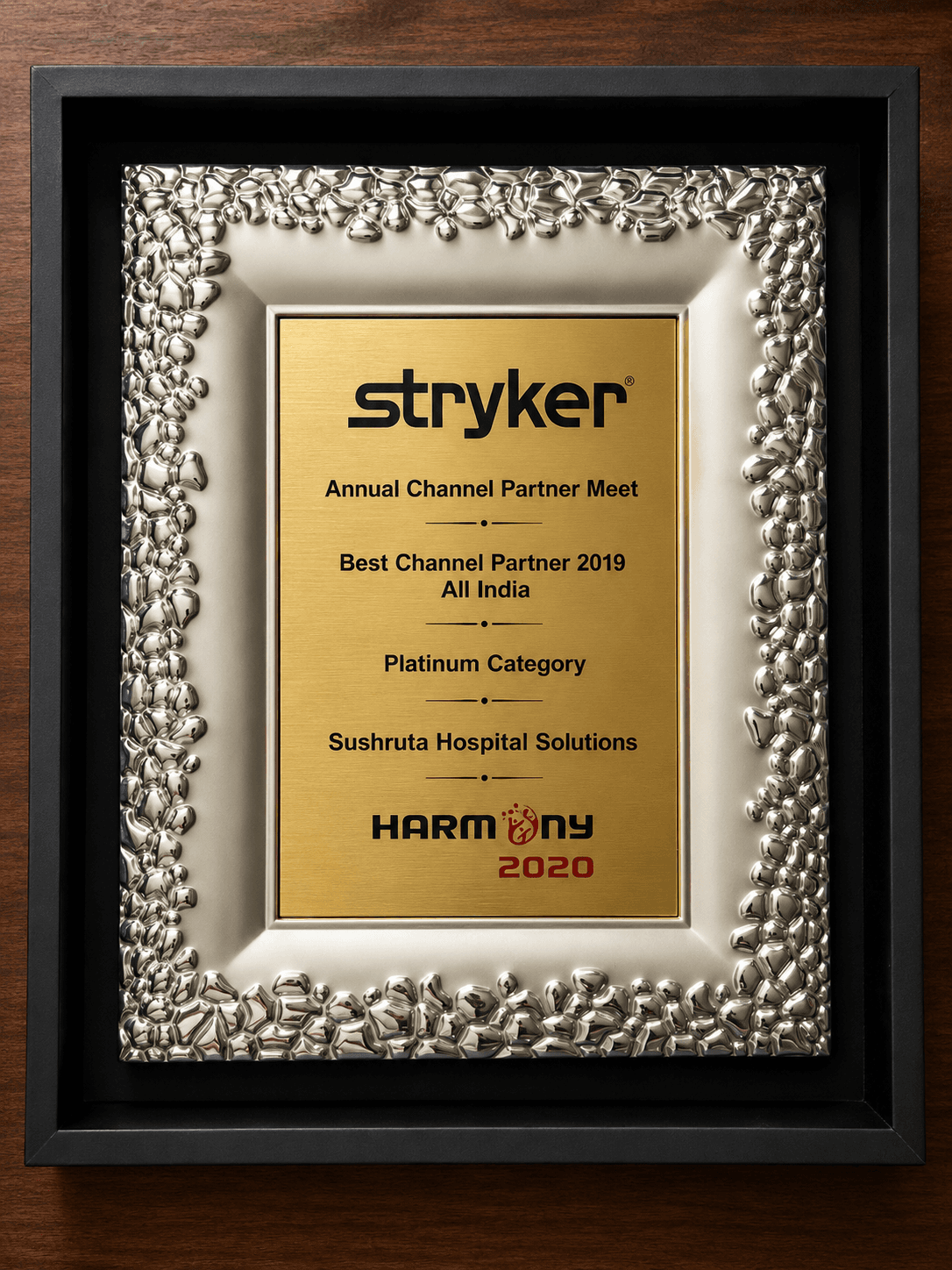 Best Channel Partner – All India 2019